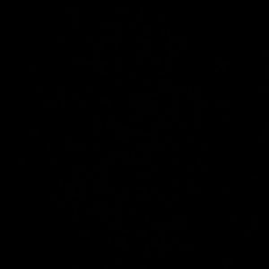 Meet your Posher, Perla rubi